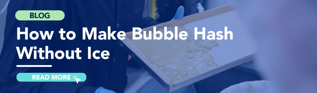 Iceless Bubble Hash Blog